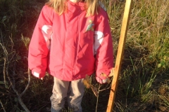 DSCF5516.jpg