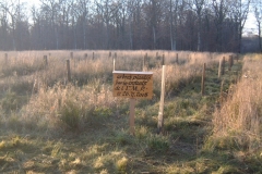 DSCF5522.jpg