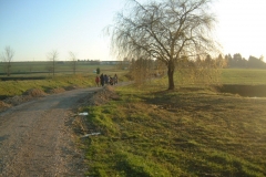 DSCF5533.jpg