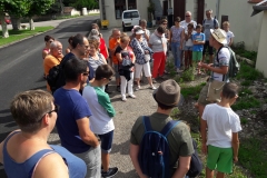 herbes-et-fleurs-de-nos-rues-16_0.jpg